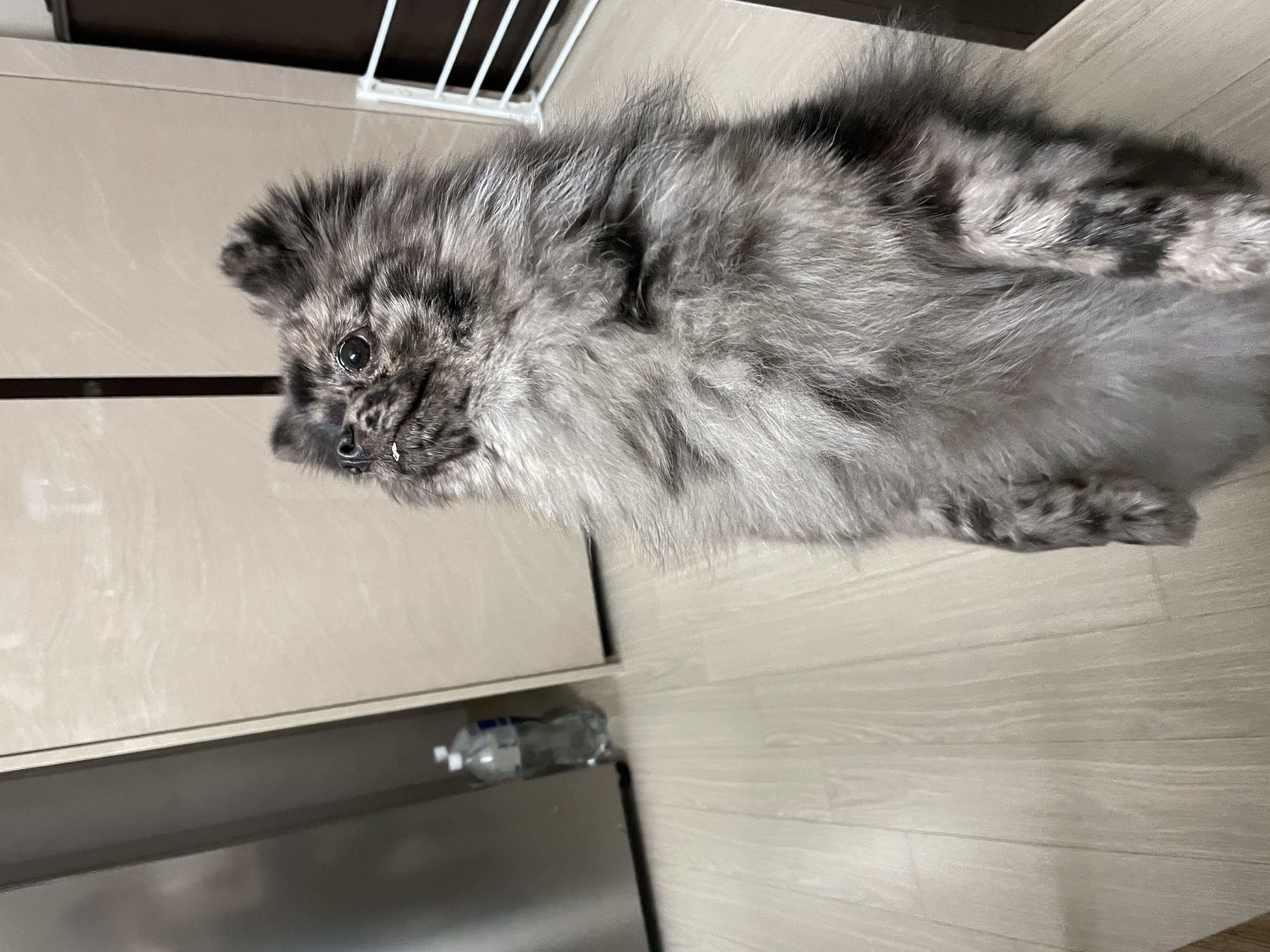 257A7677-2D94-47BD-92D4-F31D22124D5A.jpeg
