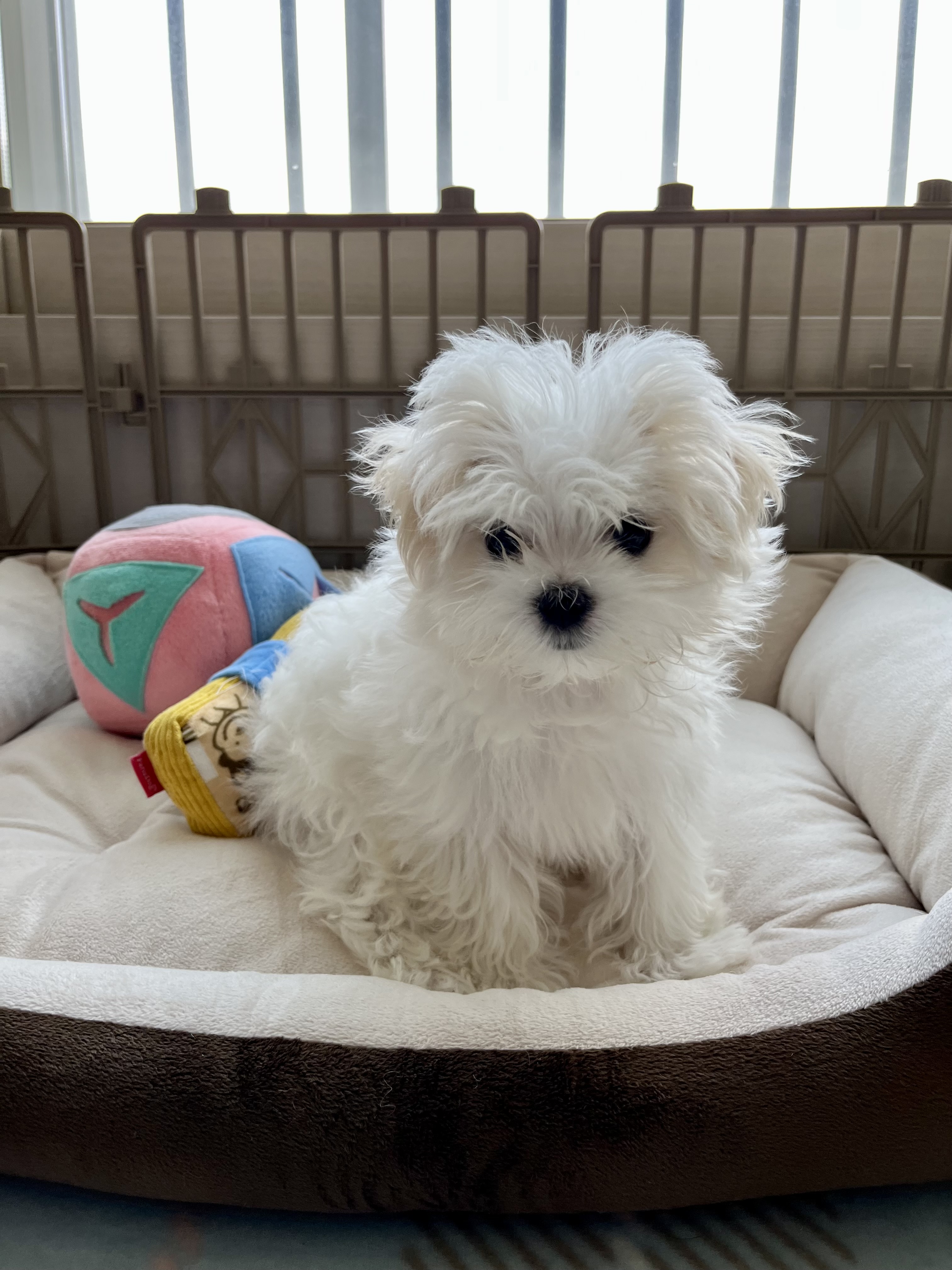 P20220914_222008063_JPEG이미지49.jpeg