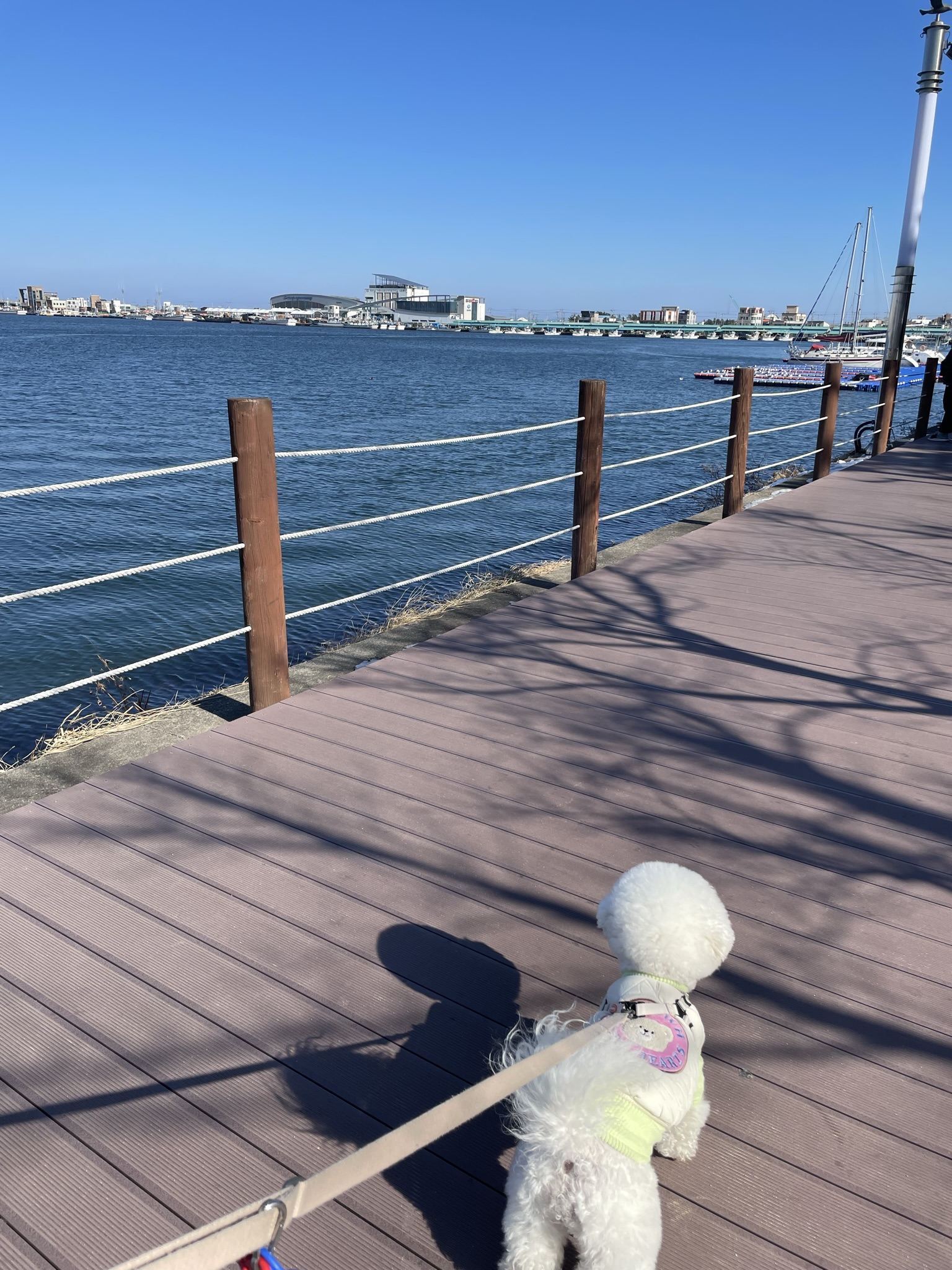 EAB5CAD5-D265-44FD-8022-4A0F6BF160DA.jpeg