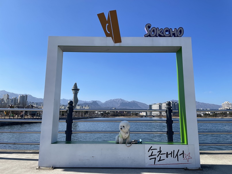 청초2.jpg