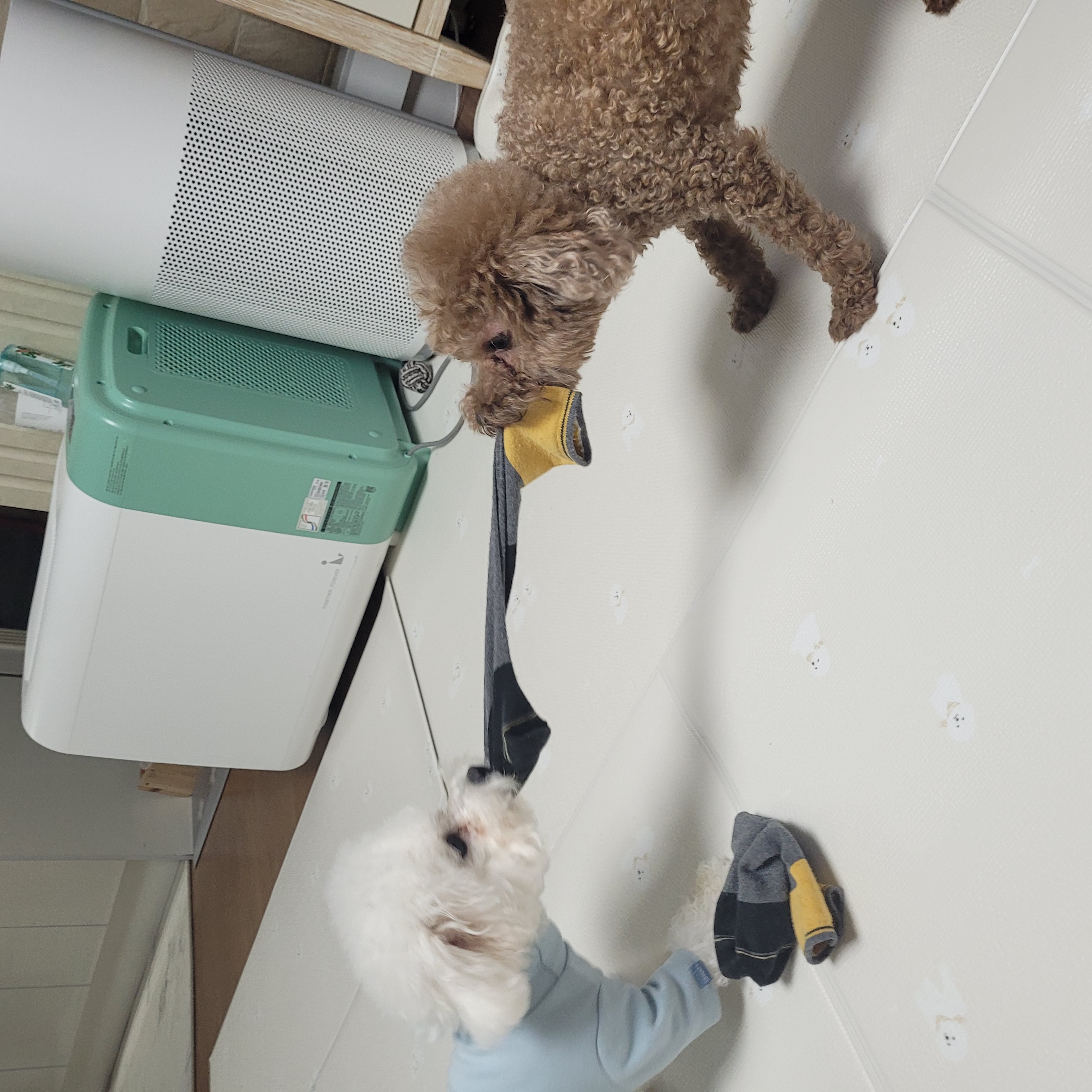 KakaoTalk_20221205_195129059_03.jpg