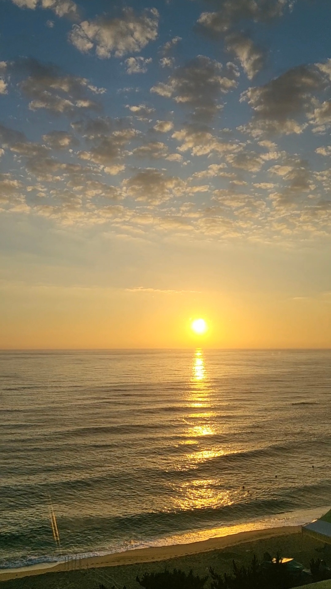 Screenshot_20220821-204448_Gallery.jpg