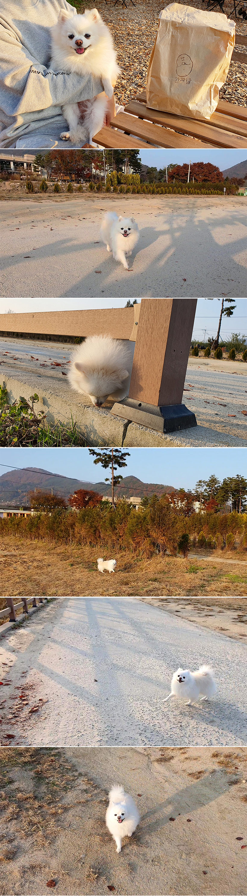 춘천1.jpg