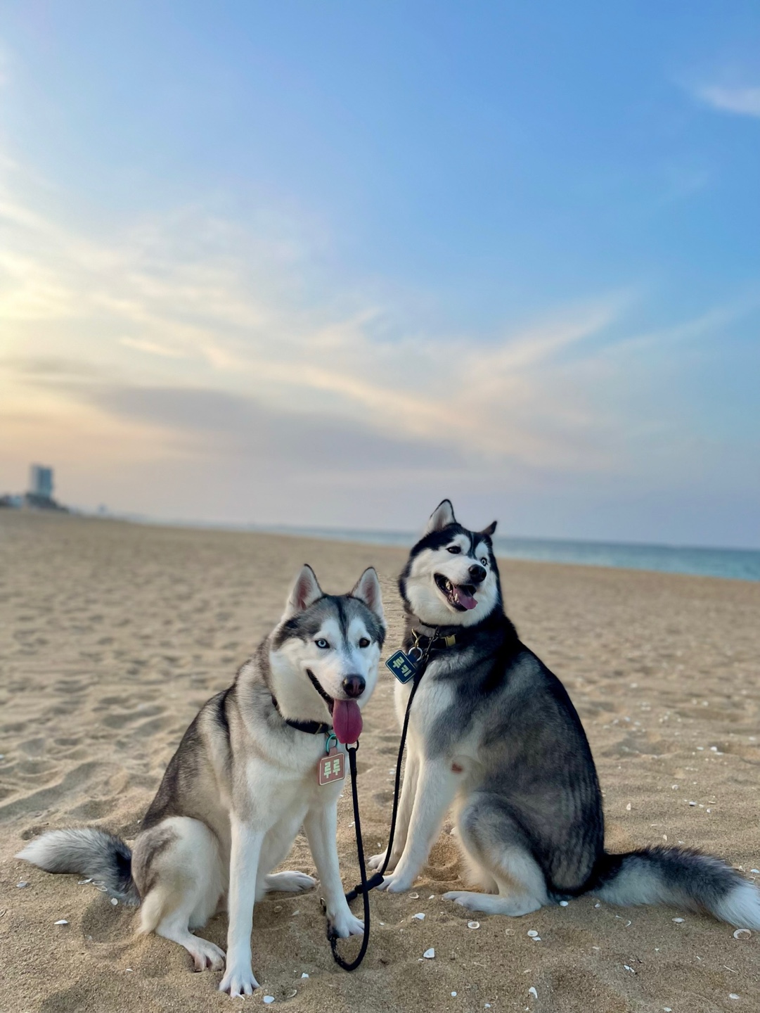 KakaoTalk_20221205_184616412_03.jpg