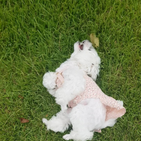 개조아~