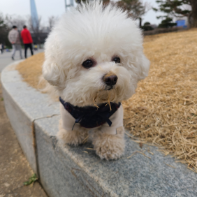 완벽한 산책이였다..