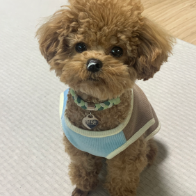 누나 내 코에 뭐가 묻었어?