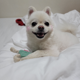 웃는게 예쁜 우리 루시!