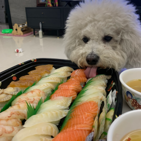 연어도둑