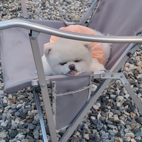 얼굴은 보여주고 잘께