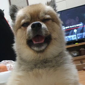 에엣취!!! 재채기 할랑말랑 할랑말랑