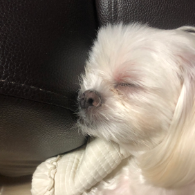 네모네모 빔~~~~