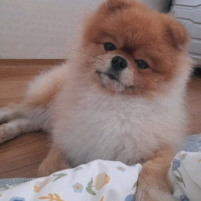 셀카는 각도다잉