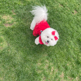 홍천 여행한 구드미