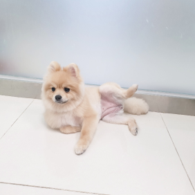 청주 이쁜이