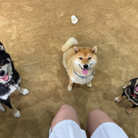 우리 가족 행복해요