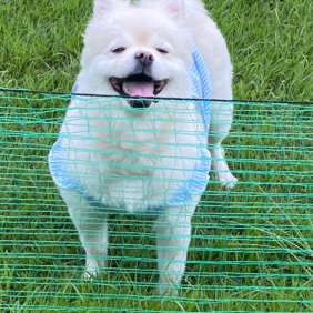 귀염둥이 김봉숙 두둥등장!!!!