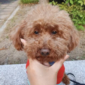 어...미...미안...