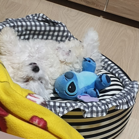 자는 모습 어쩔??