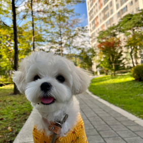 신나는 산책 시간