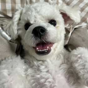 나는야 행복한 쿵이