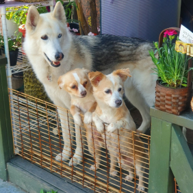 사랑한다면 같은곳을 바라보는것♡