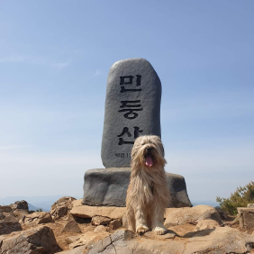 만 10살 보배