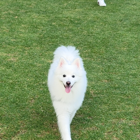 엄마껌딱지 모모 ~~~엄마~~~