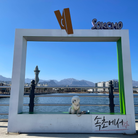 속초 여행한 구드미
