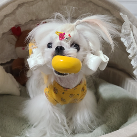 만득이 좋아