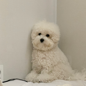 덕순이가 세상을 구한다