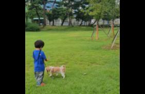 공지천조각공원